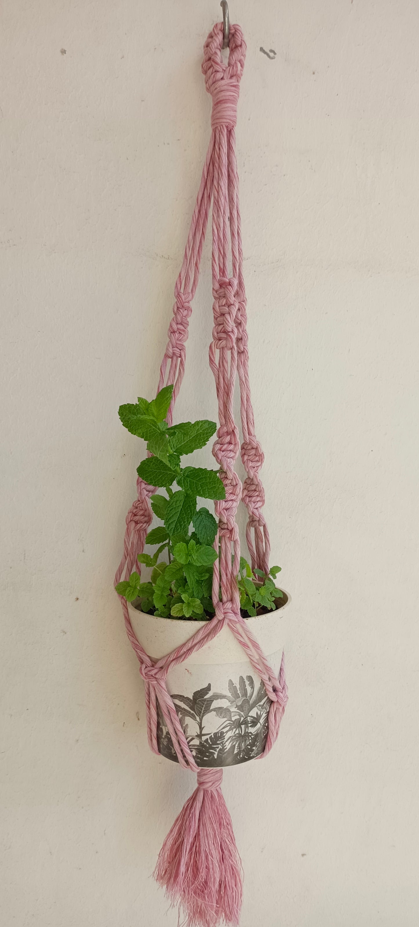 Suspension pour plante Collection Strawberry