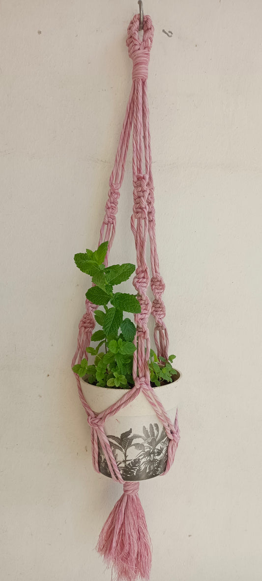 Suspension pour plante Collection Strawberry