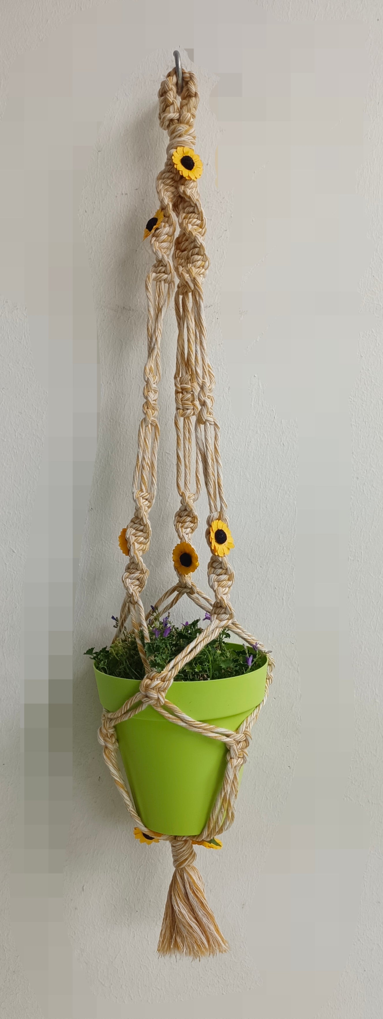 Suspension Sunflowers
