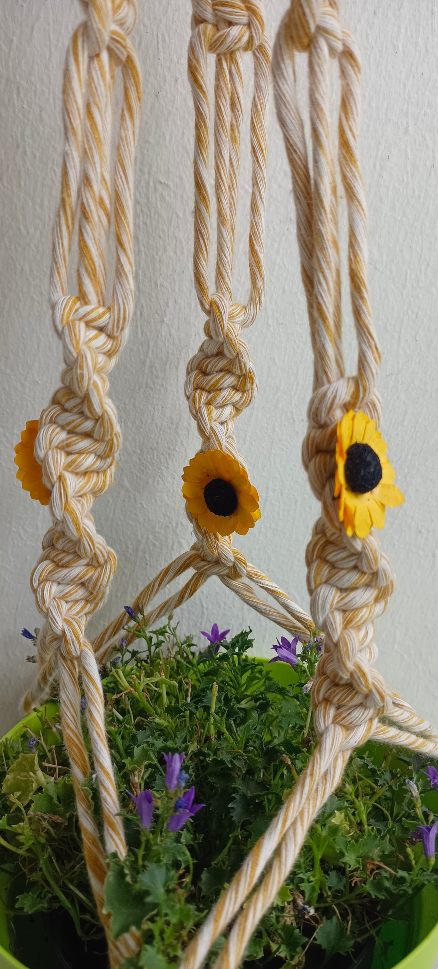 Suspension Sunflowers